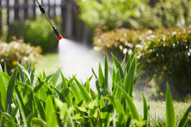 24/7 Emergency Termite Control experts in Gerber, CA